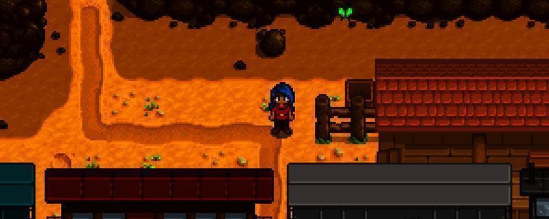 星露谷物语社区博物馆相关画面