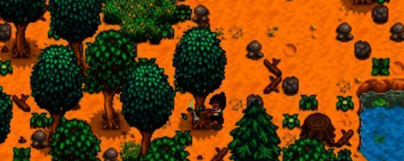 星露谷物语Joja超市画面