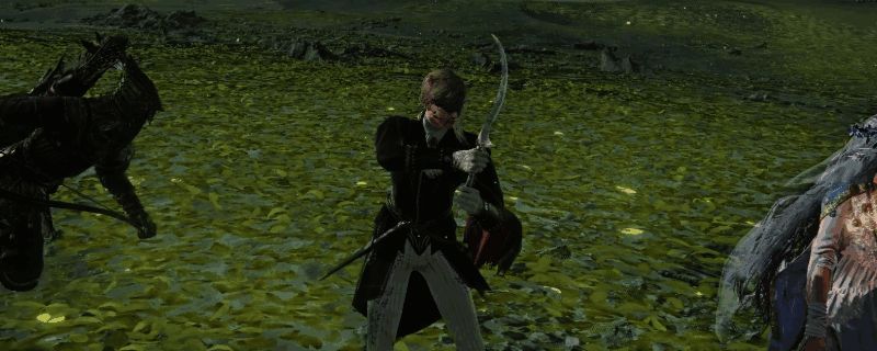 游戏内女爵手持匕首战斗画面,背景为黑暗风格战场环境