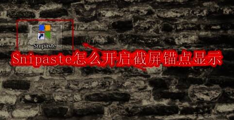 Snipaste软件图标在桌面上的展示
