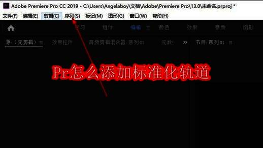 Adobe Premiere Pro软件主界面,显示项目面板与时间轴区域