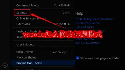 VSCode软件界面展示图，显示代码编辑主界面与底部状态栏设置入口