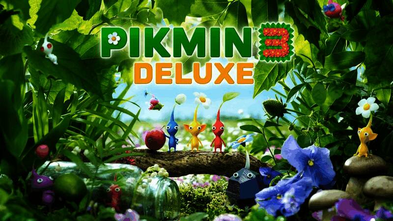 玩家使用Switch 2游玩经典Switch游戏的画面,帧数表现更加稳定