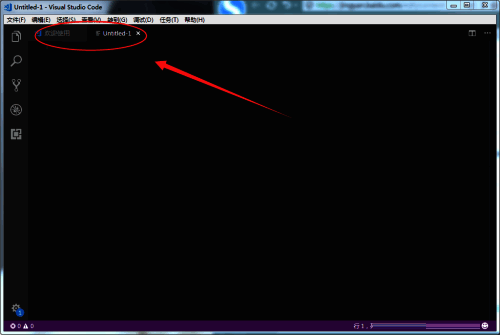 代码编辑界面展示，光标位于空白文档中，准备输入代码内容