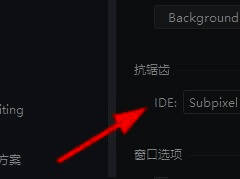 IDE设置界面详细选项展示