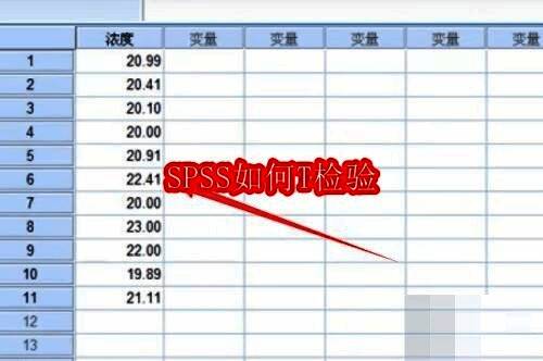 SPSS软件界面展示,左侧为变量视图,右侧为数据输入区域