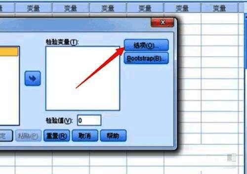 选项设置窗口截图,显示置信区间和缺失值处理选项