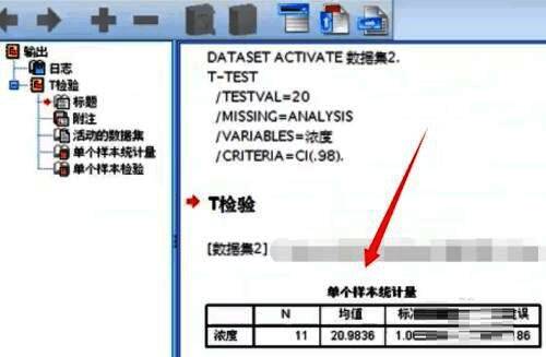 T检验结果输出示意图,包含t值、显著性水平等统计信息