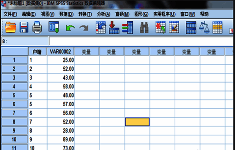 SPSS界面显示数据视图,表格中包含两列变量数据
