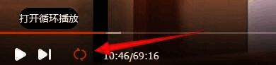 软件界面展示循环播放设置入口位置