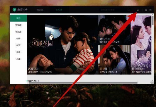 设置选项界面，清晰显示各项功能入口