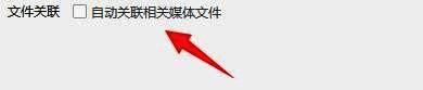 播放设置页面中的自动关联相关媒体文件选项已勾选