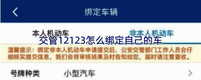 交管12123首页界面,机动车选项高亮显示