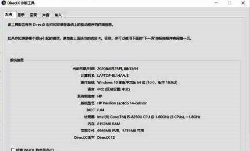 DirectX诊断工具详细信息页面,左侧为系统概述,右侧为具体参数说明