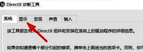 显示选项卡界面截图,包含显卡名称和驱动版本信息