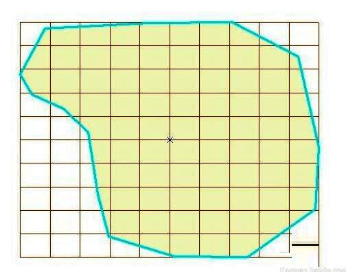 最终生成的渔网效果示意图，显示由矩形组成的规则网格布局