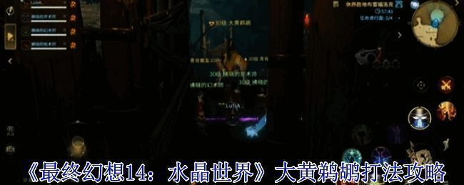 大黄鹈鹕战斗场景,背景可见三只青背魔鸟