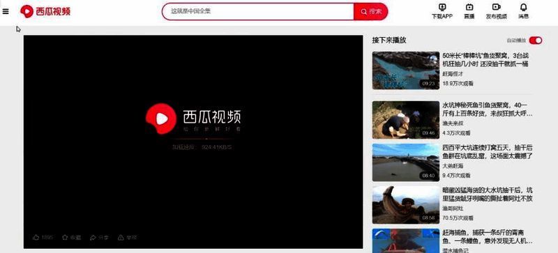 西瓜视频用户登录界面截图,显示简洁明了的登录框与提示信息