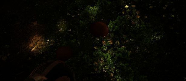 玩家手持放大镜观察蘑菇特写,背景为茂密森林