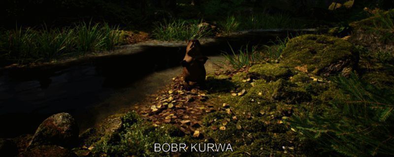 Mushroom Hunter Simulator游戏场景截图,森林环境中角色正在寻找蘑菇