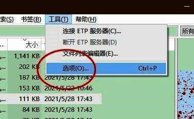 Everything主界面展示,左侧为目录结构,右侧显示文件列表