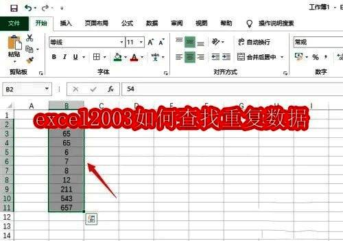 Excel 2003界面展示,主菜单栏清晰可见,背景简洁专业