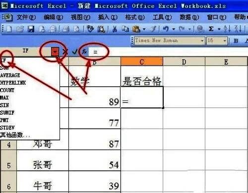 IF函数参数设置界面，展示条件输入示例
