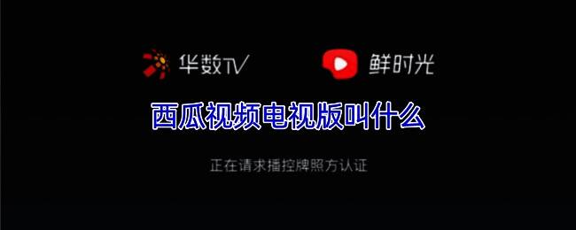 鲜时光TV应用界面展示,清晰呈现各视频分类入口