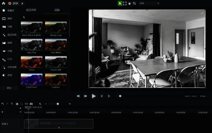 Camtasia2024滤镜面板中选中黑色滤镜后的效果预览图