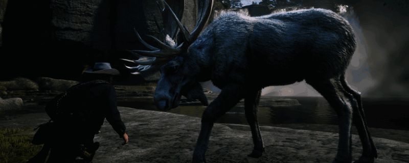 《荒野大镖客2》游戏场景,森林中隐约可见一只巨大的白色驼鹿身影