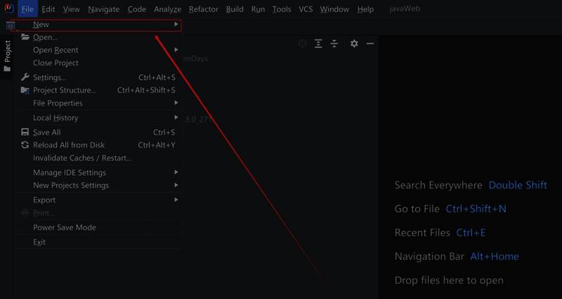 项目创建向导界面，显示Web选项卡及Next按钮