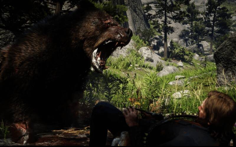 传说灰熊巴拉蒂正面照,脸上有明显疤痕,眼神凶狠