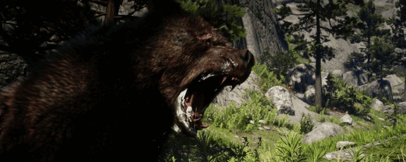 游戏中角色手持霰弹枪面对灰熊的紧张瞬间