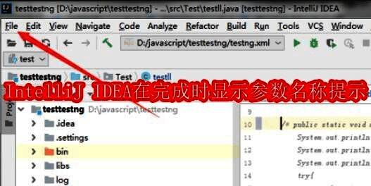 IntelliJ IDEA主界面展示，左侧为项目结构，右侧为代码编辑区域