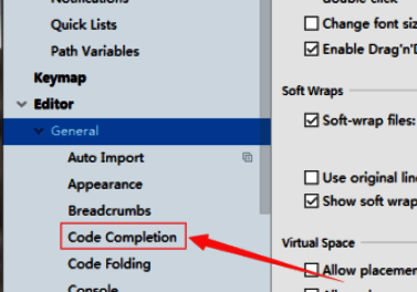 Code Completion设置界面，包含多项提升编码效率的选项