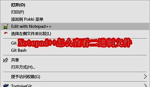 Notepad++主界面,右侧展示了一个二进制文件打开后的乱码显示