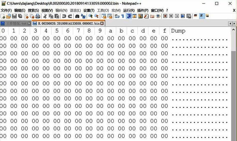 Notepad++成功显示二进制文件的十六进制内容,界面整洁清晰