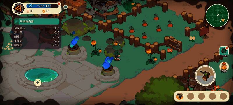 胡萝卜生长于一片沙质土地上,周围有矮草遮掩