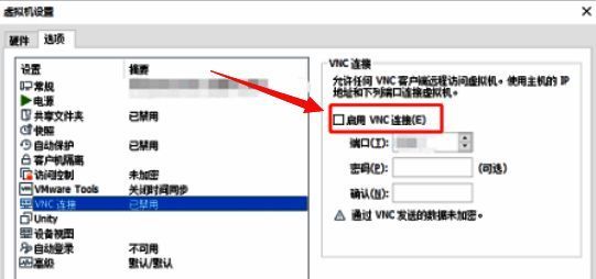 VMware Workstation 中启用 VNC 连接的勾选选项