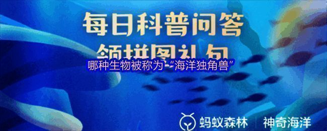 神奇海洋游戏界面截图,展示今日问题及选项