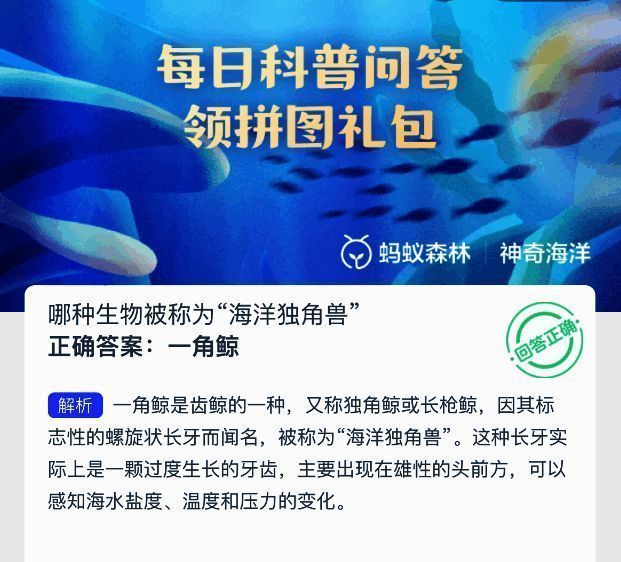 一角鲸特写图片,清晰展示其标志性长牙