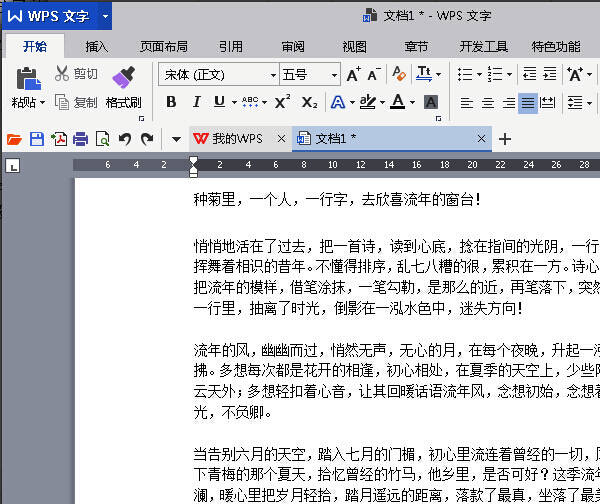WPS Office界面展示,文档已打开处于编辑状态
