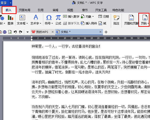 插入页码选项面板展开,展示多种页码样式可选