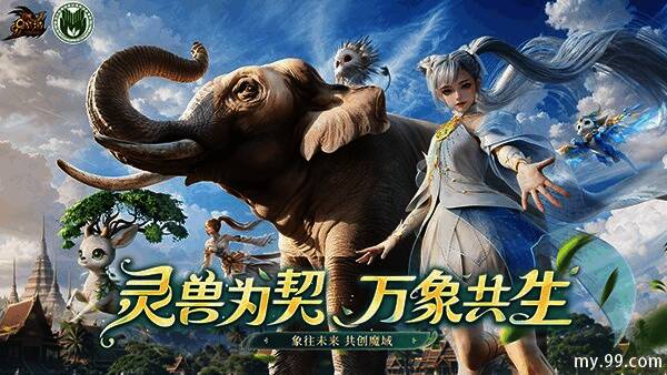 亚洲象保护现场照片,展示志愿者搭建监测设备的场景