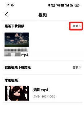 手机屏幕截图展示如何点击‘全部’查看所有下载视频
