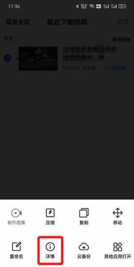 视频详情界面截图，显示文件所在目录信息