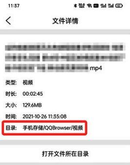 文件管理器中显示视频文件完整路径的界面截图