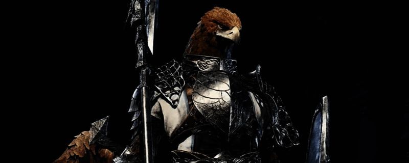 艾尔登法环黑夜君临中守护者持盾战斗场景,展现强力防御姿态