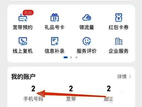 中国电信App中的手机号码管理页面入口