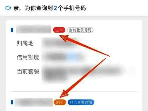 用户名下手机号码列表展示,包含号码状态与基本信息